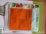 Nasiona kapusty AVANTO F1, ACCORD F1 (j. 2 500n) firmy SAKATA oferuje GEPWEG dystrybutor nasion. Dostawa gratis. Płatność przy...