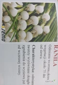 Nasiona cebuli firmy SEMO odmiany: RANILA(j. 100g, 500g wczesna na pęczki 75 dni wegetacji), GLOBO(j.100g, 500g, 50 000, 125 000n wczesna...