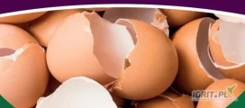 Wapno ze skorupek jaj, jest organiczno-mineralnym środkiem poprawiającym właściwościgleby. Wzbogaca ją o składniki pokarmowe...