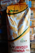 Kukurydza kwalifikowana C/1 Odmiana KADRYL FAO270. Jednostki siewne 50 tys. nasion (worek 14,3kg). Zaprawiane zaprawą grzybobójczą....