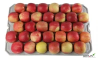 Przekładki na jabłka z pulpy papierowej do transportu i ekspozycji owoców. Wykonane zgodnie z obecnymi standardami, świetnie sprawdzą...