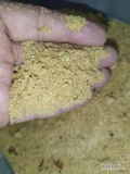 Na sprzedaż makuch sojowy HI-PRO wysokiej jakości o zawartości białka 50% , tłuszcz 7%, bez GMO, pakowany w Big bagi,  importowany z...