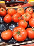 sprzedam ok 1000 kg pomidora, II gatunek, kraj pochodzenia Turcja
