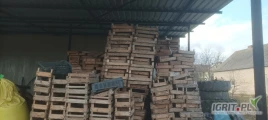 Sprzedam skrzynki drewniane były używane do kiełkowania wczesnych ziemniaków  około 8-10 kg . Przechowywane pod dachem