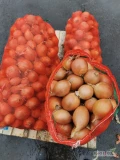Sprzedam cebulę kalibrowaną,wybrany  5+8 :8+: twardą, czystą, suchą w workach po 30 kg, z Kazachstanu,odmiana Manas F1 Tel ;...
