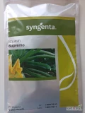SUPREMO F1(j.1 000n) nasiona cukini firmy SYNGENTA oferuje GEPWEG dystrybutor nasion. Dostawa gratis. Płatność przy odbiorze. Zapraszamy...