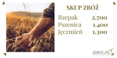 Firma BIOBOR z siedzibą w Ciepieniu 28, 87-645 Zbójno prowadzi całoroczny skup zbóż takich jak:- PSZENICA, JĘCZMIEŃ, RZEPAK...
