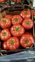 Sprzedam pomidory malinowe Polskie cena 75 zł oraz pomidory czerwone Polskie cena 65 zł