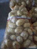 Sprzedam ziemniaki odmiana Riviera gruby towar big bag worek 15