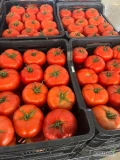 Pomidor hiszpanski rozne odmiany cena od 6 zl/kg mozliwosc transportu do Polski 