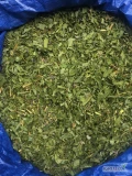 Gratulacje!Przyjmujemy zamówienia na zbiór suszonych ziół z kwiatami herbaty Ivan,Epilobium angustifolium, syn. Chamerion angustifolium.