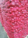 Sprzedam cebulę czerwoną worek 5,10 kg Cebula fazorowana kaliber 4-8 Ilości tirowe i paletowe 