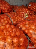 Sprzedam cebule 50-70, fazorowana, kalibrowana, twarda, czysta, sucha. MARKETOWY TOWAR. Worek 30 kg. Sort TORESKO