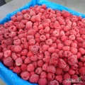 Sell frozen raspberries. Good afternoon, our company Organic Frost from Ukraine is engaged in the export of frozen fruits and fresh...