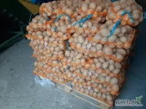 Sprzedam ziemniaki GALA worek 15 kg 
