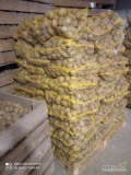 Sprzedam ziemniaki jadalne Ignacy obecnie gotowe 6 palet po 70 worków cena 18 zł worek kal 45+ więcej informacji pod nr tel 604145182