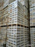 Sprzedam używaną  Łuszczke drewnianą jabłkową rozmiar 50 x 30 x 25 około 10000 szt. Tel 500798620 Lokalizacja: Złota Góra , ...