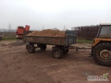 Sprzedam 13 ton ziemniaków odpadowych dla zwierząt bez kamieni ,brył i zgnitych 

