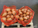 Sprzedam cebulę wybrany, kalibrowaną 5+8 :8+: twardą,suchą czystą,w workach po 30 kg, z Kazachstanu, odmiana Manas F1.