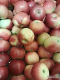 Sprzedam drobne jabłka w kartonach - 1,2 zł/kg