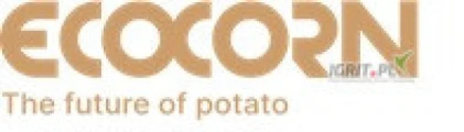 Eco-Corn z zakładem produkcyjnym w Przykonie (62-731) prowadzi całoroczny skup ziemniaka, także drugiej kategorii.
