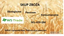 Firma WS-TRADE kupi pszenicę, żyto, owies, pszenżyto, kukurydza. Zapewniamy transport i zapłatę. Ilość min. 20 ton. Skup z całego...