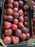 Sprzedam jabłka odmiany Prince 7,5/8 +. 