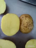 Kupie ziemniak jadalny 70+, oferty prosze na WhatsApp 
