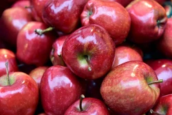 Związek Sadowników RP: odwalcie się od polskich jabłek
