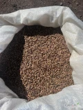 Posiadamy w sprzedaży nasiona ESPARCETY (Onobrychis viciifolia) o czystości 99%, kiełkowaniu 85%, w ilości ok. 20-22 t. Opakowania –...