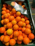 Pomarańcz Hiszpania cal 3/4/5 siatka 3.4 kg i pomarańcz sokowy 2.8 kg caliber 7/8