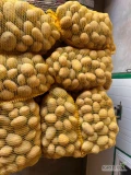 Sprzedam ziemniaki jadalne ok 450 worków sorja, corina, volumia. tel 503109898