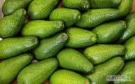 OUTLET: Avocado zielone Pakowane po 20 / 22 sztukMinimalna ilość zakupu: 60 opak.Dostępna ilość: 400 opak. - do wyczerpania...