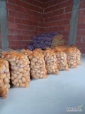 Sprzedam ziemniaki odpadowe po sortowaniu ziemniaka jadalnego