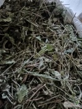 Witam mam do sprzedania liść babki lancetowata ziele jeżówki purpurowej liść mniszka lekarskiego oraz nasiona babki lancetowata zbiór...
