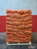 Sprzedam cebulę żółtą w worku raszlowym szytym. Możliwość pakowania w worki 5 kg, 10 kg, 15 kg, kaliber: w zalezności od...