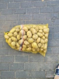 Witam . Sprzedam ziemniaki młode odmiana Denar bardzo ładne kopane pod zamówienie . Ilości hurtowe cena do negocjacji 733334114