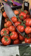 Sprzedam pomidor gronowy, rozmiar 65-72. Karton 5kg. 