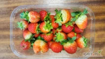 Sprzedam truskawki z uprawa rynnowa, owoce z mniejszym wybarwieniem, drobniejsze cena 8zł/kg około 300kg, Owoce słodkie