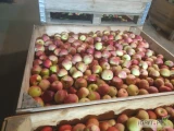 Sprzedam jabłka odmiany LOBO. Owoce zerwane w optymalnym terminie na 2 zbiory. Jabłka zdrowe w bardzo dobrej kondycji. Rozmiar od...