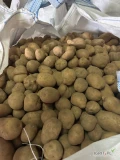 Ziemniaki jadalne kal 45+ w big bagu lub luzem odmiana melody około 60 ton 