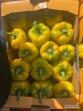 Papryka z Jordanii: czerwona, żółta, pomarańczowa. CALOFORNIA / CAPSAICIN
