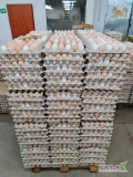 Sprzedam jajka kremowe z białymi w rozmiarach M ,L
