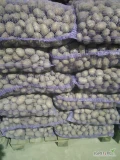 Sprzedam ziemniaki z chłodni w rozmiarze 35x45 tajfun zakupiony w 2022r 2t, denar1,5t zakupiony w 2021,quuen anna 650kg 
