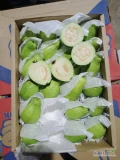  Fresh guava  from Alshams company  Origin: Egypt  Packing:- 2  () / cartonWhatsapp/imo: +201016785541Email :...