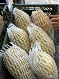 Świeże melony z Uzbekistanu pakowane w plastikowych skrzynkach. Kalibrowane. Średnia waga melona 3-6 kg,
