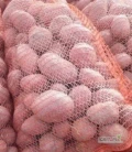 Ziemniaki Bellarosa Laura kopane na bieżąco cena ustalana indywidualnie.tel 788470955