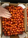 Sprzedam około 140 kg okrągłego pomidorka koktajlowego.
