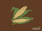 Suche ziarno kukurydzy na sprzedaż!- własny zbiór 2023- odmiana Mas 43.P - dostępne około 600 ton- wilgotność 10-14 %Po więcej...