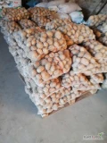 Duże ilości ziemniaków młodych, szykowane na zamówienie. Worki big bag/15kg.